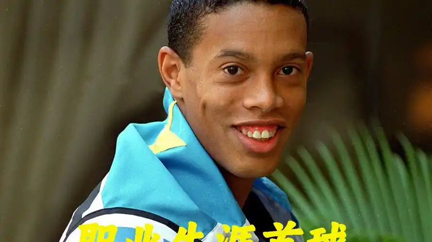 不仅增强了
